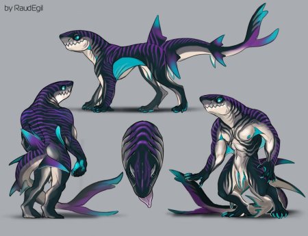 Антро акула референс