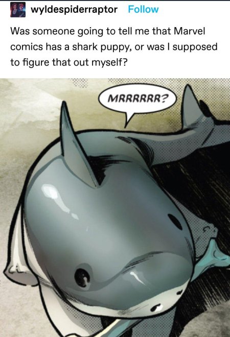 Акула джефф марвел