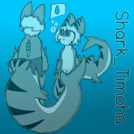 Changed tiger shark r