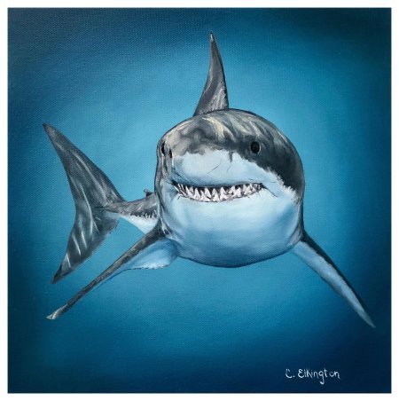 Акула картина