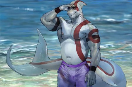 Фурри акулы шарк