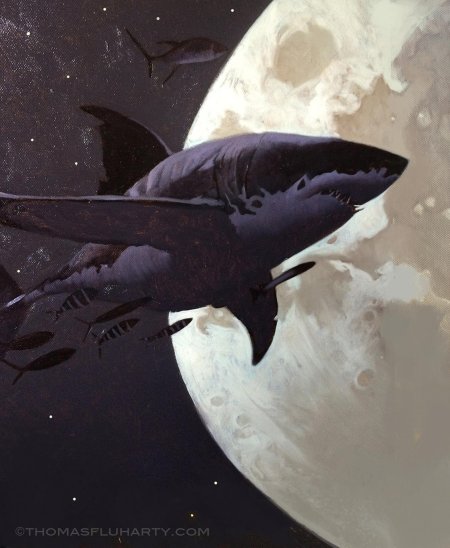 Прей лунная акула