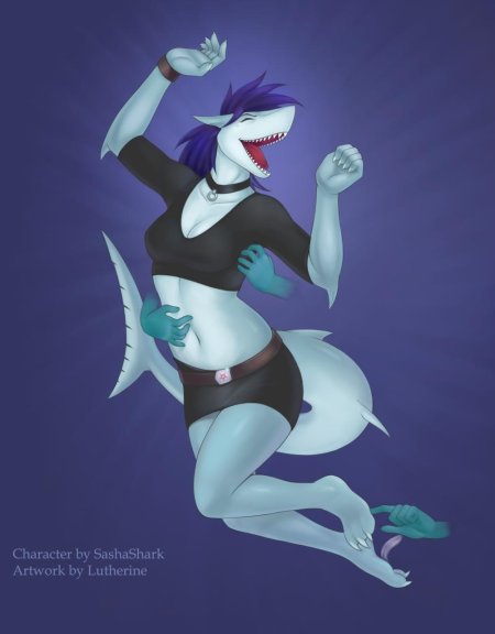 Furry sasha shark