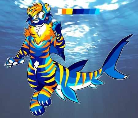 Тигер шарк changed