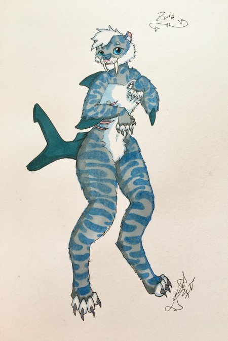 Furry shark эрика r