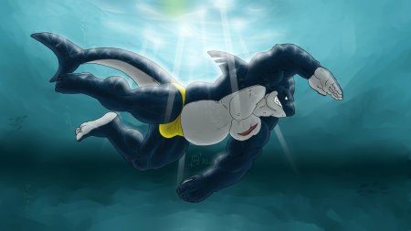 Шарко акула shark