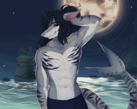 Фурри акулы самцы