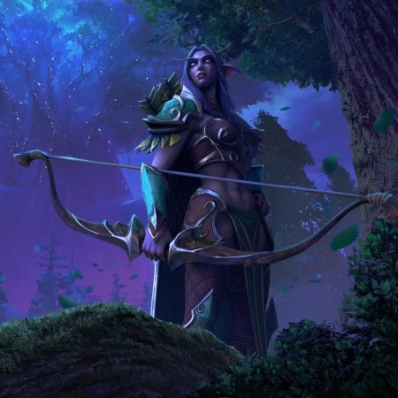 Ночной эльф варкрафт