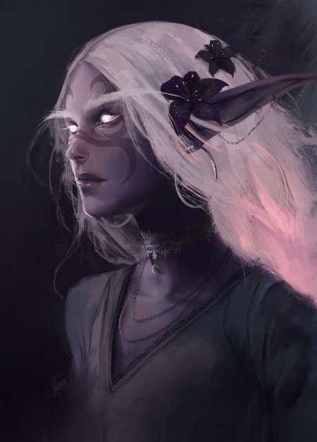 Темная эльфийка арт