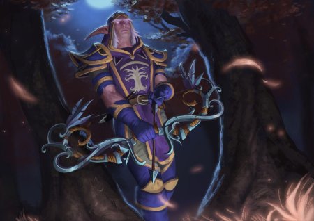 Высшие эльфы варкрафт