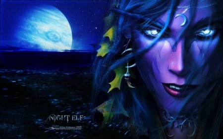 Ночные эльфы варкрафт 3