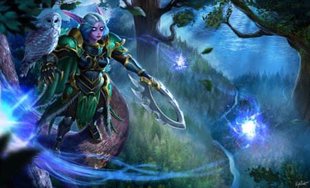 Ночные эльфы варкрафт