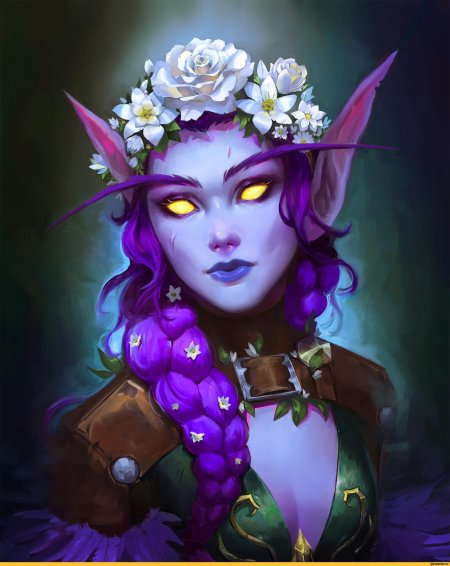 Warcraft ночные эльфы юри