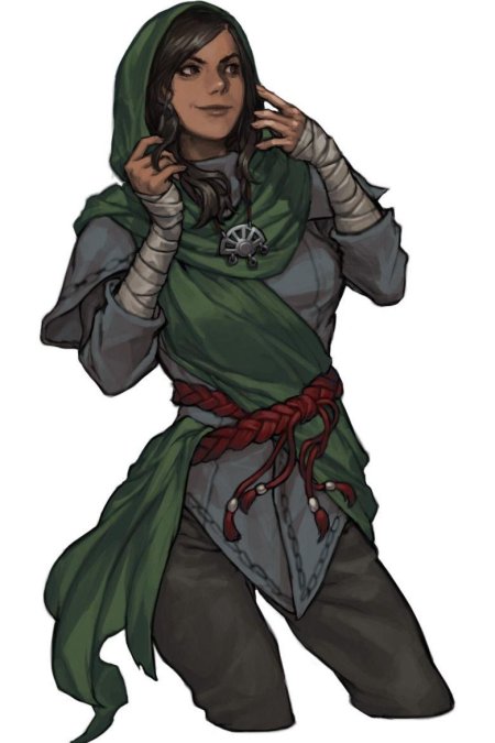 Монах днд арт девушка