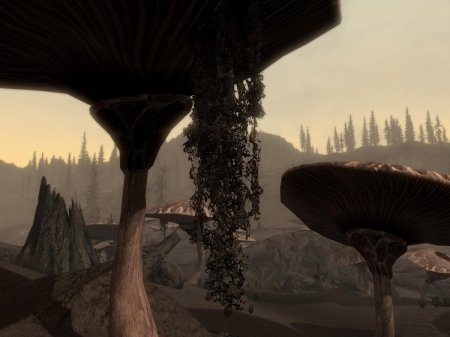 Тель митрин морровинд