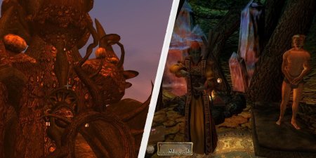 Сквиб морровинд