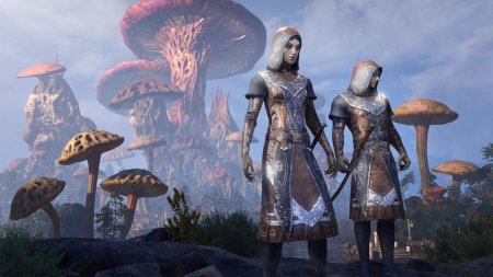 Tes дивайт фир