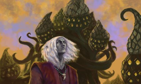 Рейстлин маджере