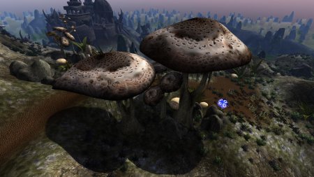 Морровинд дом гриб