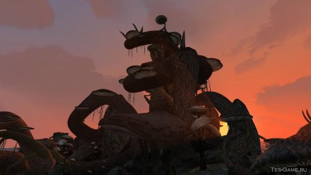 Morrowind садрит мора