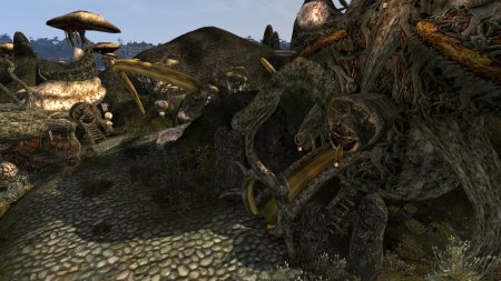 The elder scrolls morrowind fullrest