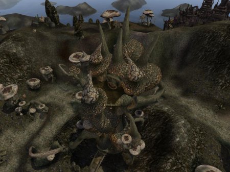 Elder scrolls morrowind