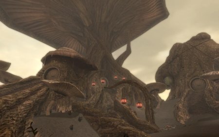 Тель митрин