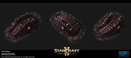 Медик старкрафт заражённый