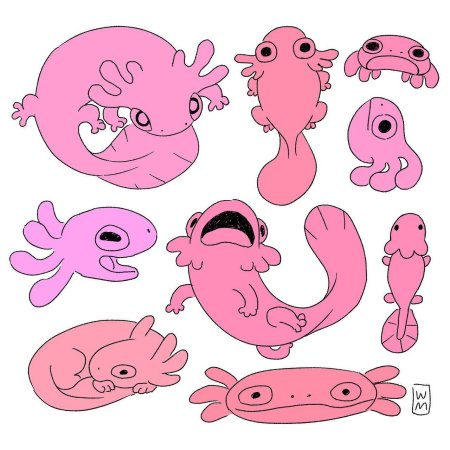 Аксолотль референс