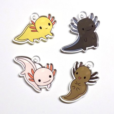 Наоми лорд аксолотль