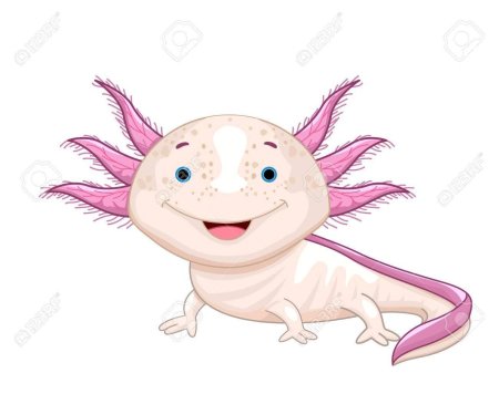 Аксолотль чиби кавай