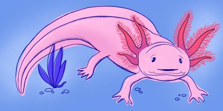 Наоми лорд аксолотль