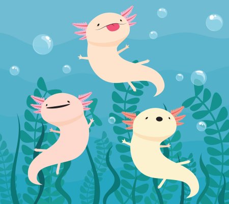 Аксолотль геншин