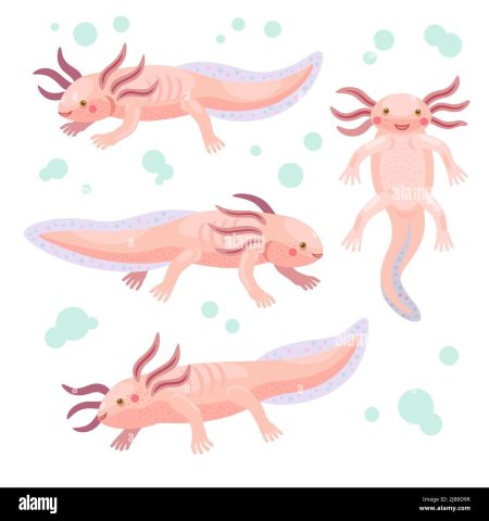 Аксолотль из бумаги