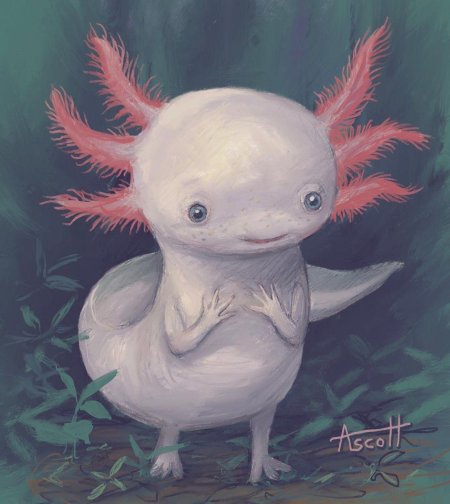 Аксолотль розовый