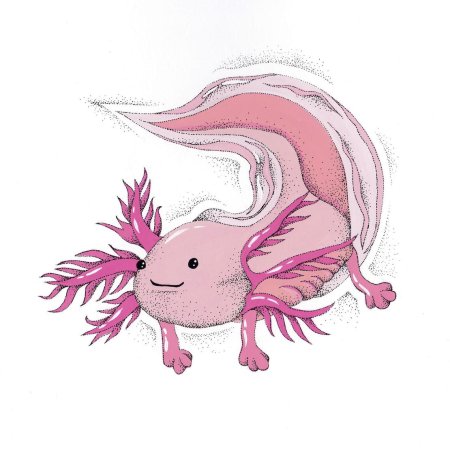 Аксолотль рисунки