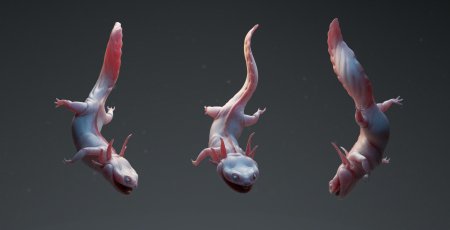 Аксолотль 3д