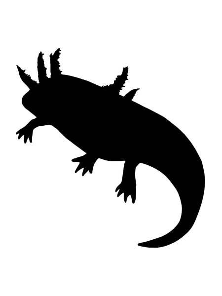 Аксолотль раскраска