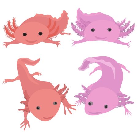 Аксолотль геншин