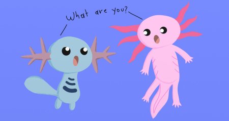 Аксолотль чан дюна