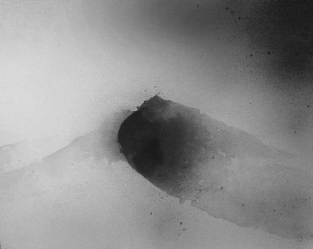 Элишия элиданто