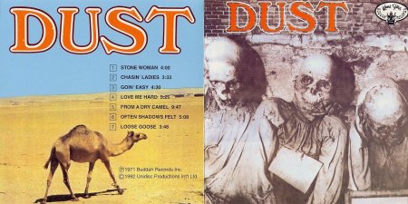 Dust to