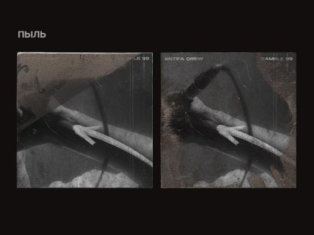 Группа пыль