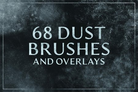 Dust brush