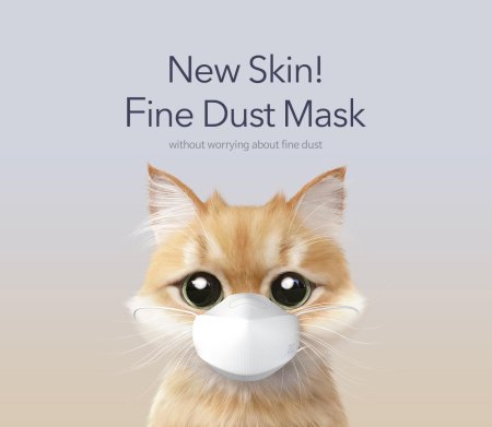 Sugar cat candy doggie