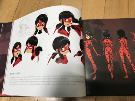 Книга леди баг