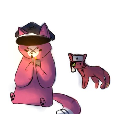 Кантрихуманс рейх кот