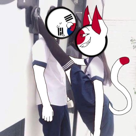 Кантрихуманс япония и корея