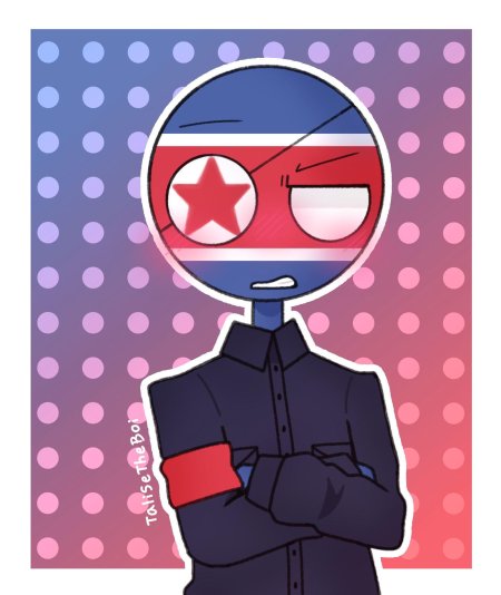 Северная корея кантри хуманс