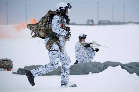 Ратник арктика